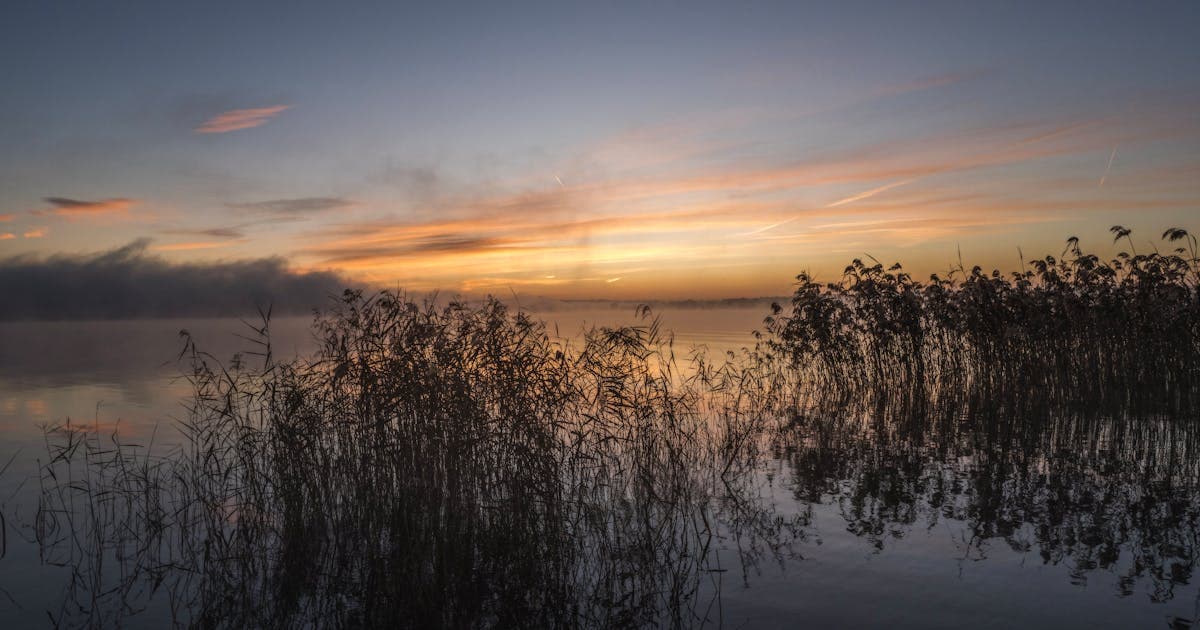 Terapia para la ansiedad online - paisaje sereno y calmante