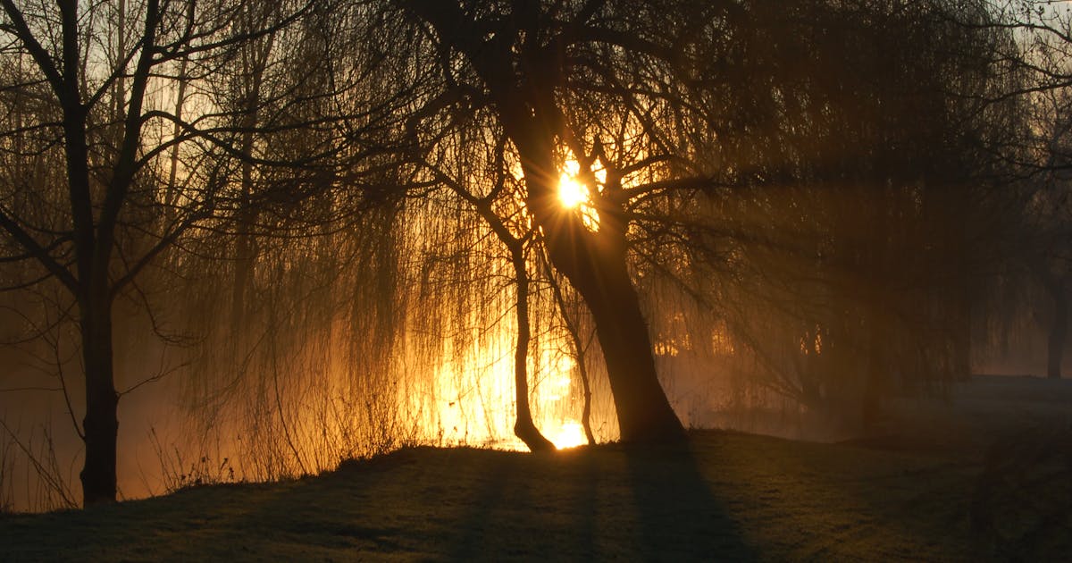 Tratamiento de la depresión online - luz cálida de esperanza